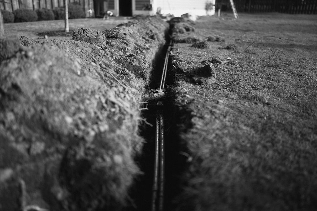 Blackout Electric image 18