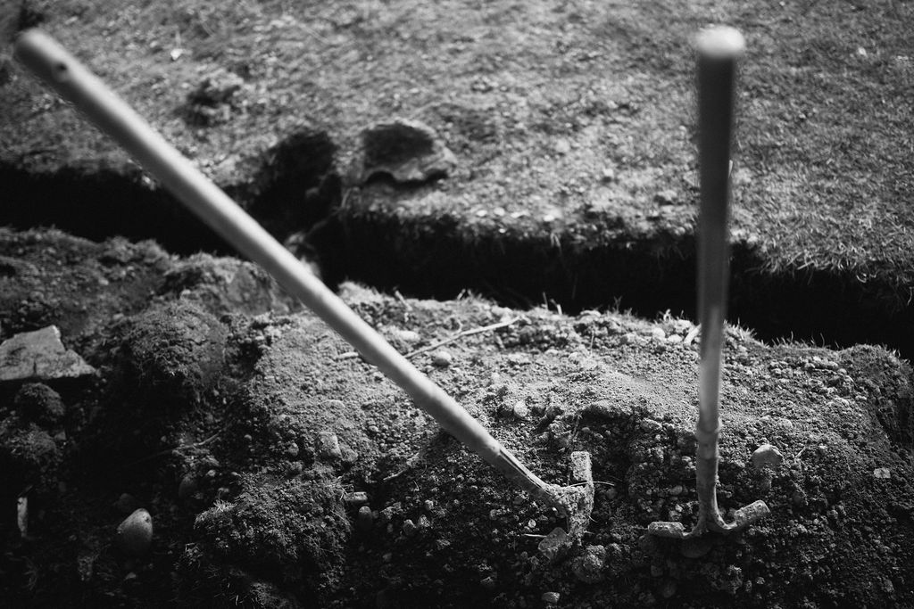 Blackout Electric image 17